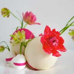 Fritillaria Acmopetala -UK Garden Plants Shop 241863 682a3