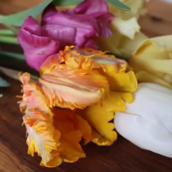 Tulip 'Princess Irene Parrot' -UK Garden Plants Shop IMG 1525 scaled