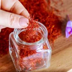 Crocus Sativus -UK Garden Plants Shop crocus sativus saffron