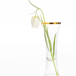 Fritillaria Meleagris 'Alba' -UK Garden Plants Shop fritillaria meleagris alba 7 scaled