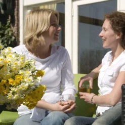 Narcissus 'Avalanche' -UK Garden Plants Shop narcissus avalanche 7