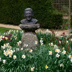 Narcissus 'Barrett Browning' 26 Narcissus 'Barrett Browning' -UK Garden Plants Shop narcissus barrett browning 10 scaled