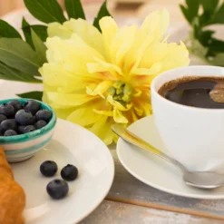 Paeonia 'Bartzella' -UK Garden Plants Shop peony bartzella 2 scaled