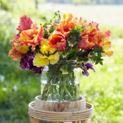 Tulip 'Amazing Parrot' -UK Garden Plants Shop tulip amazing parrot 9